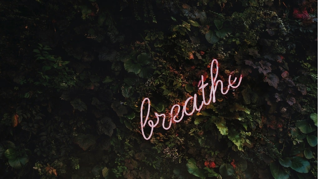 breathe sign with greenery