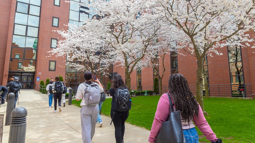 Students walking up the tree-lined path to the Xavier Academic Complex.