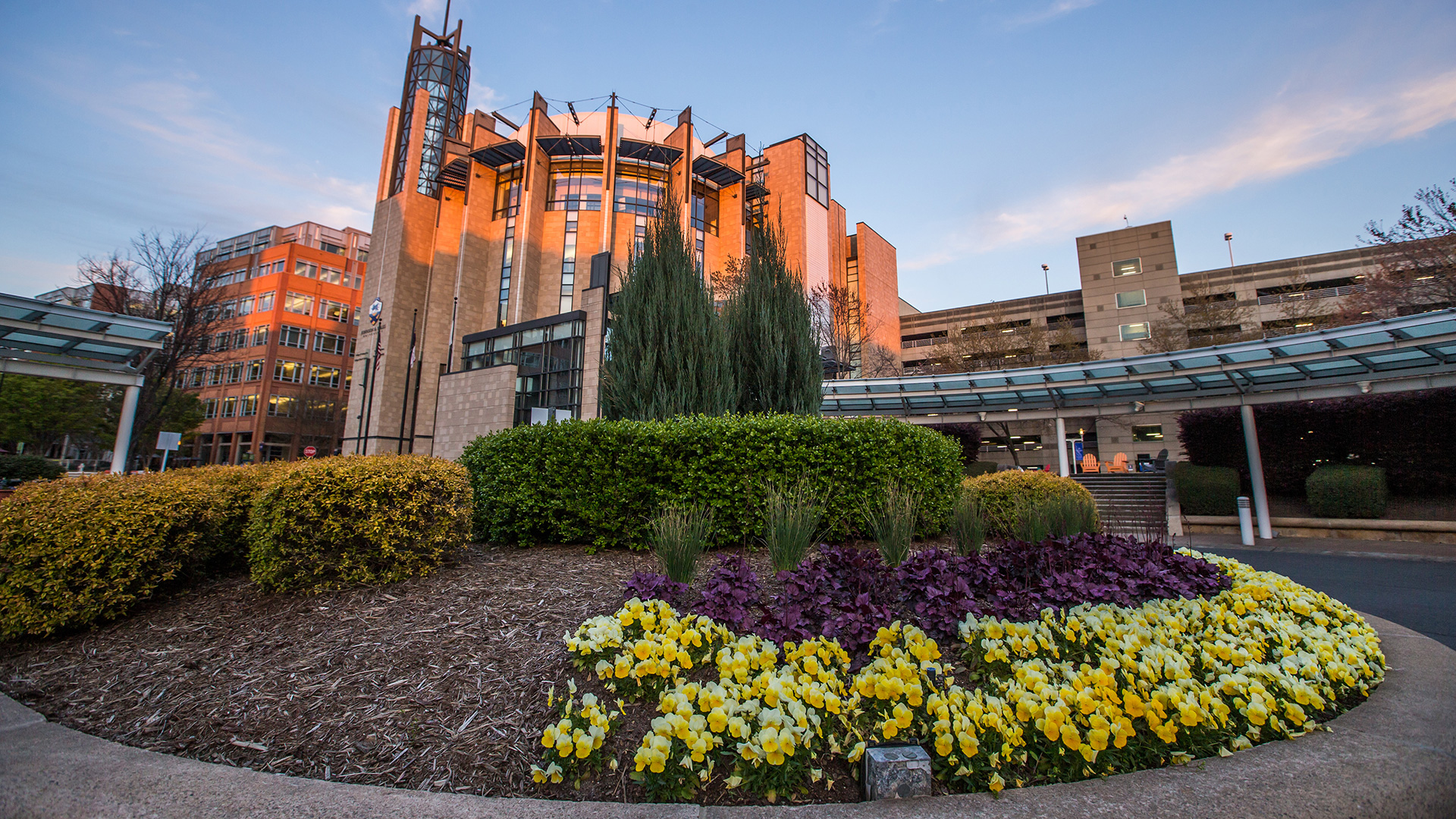 Photo of the charlotte campus main building with flowers in the foreground