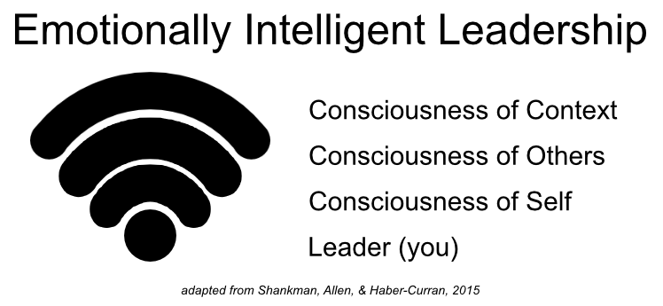 diagram showing the three levels of Emotionally Intelligent Leadership