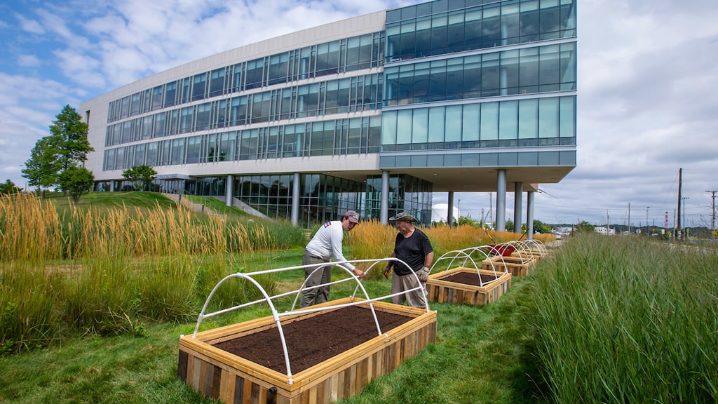 Wide landscape view of the organic garden beds adjacent to the Cuisinart Center for Culinary Excellence (CCCE).