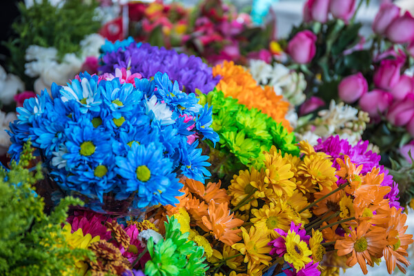 vibrant bouquets of flowers