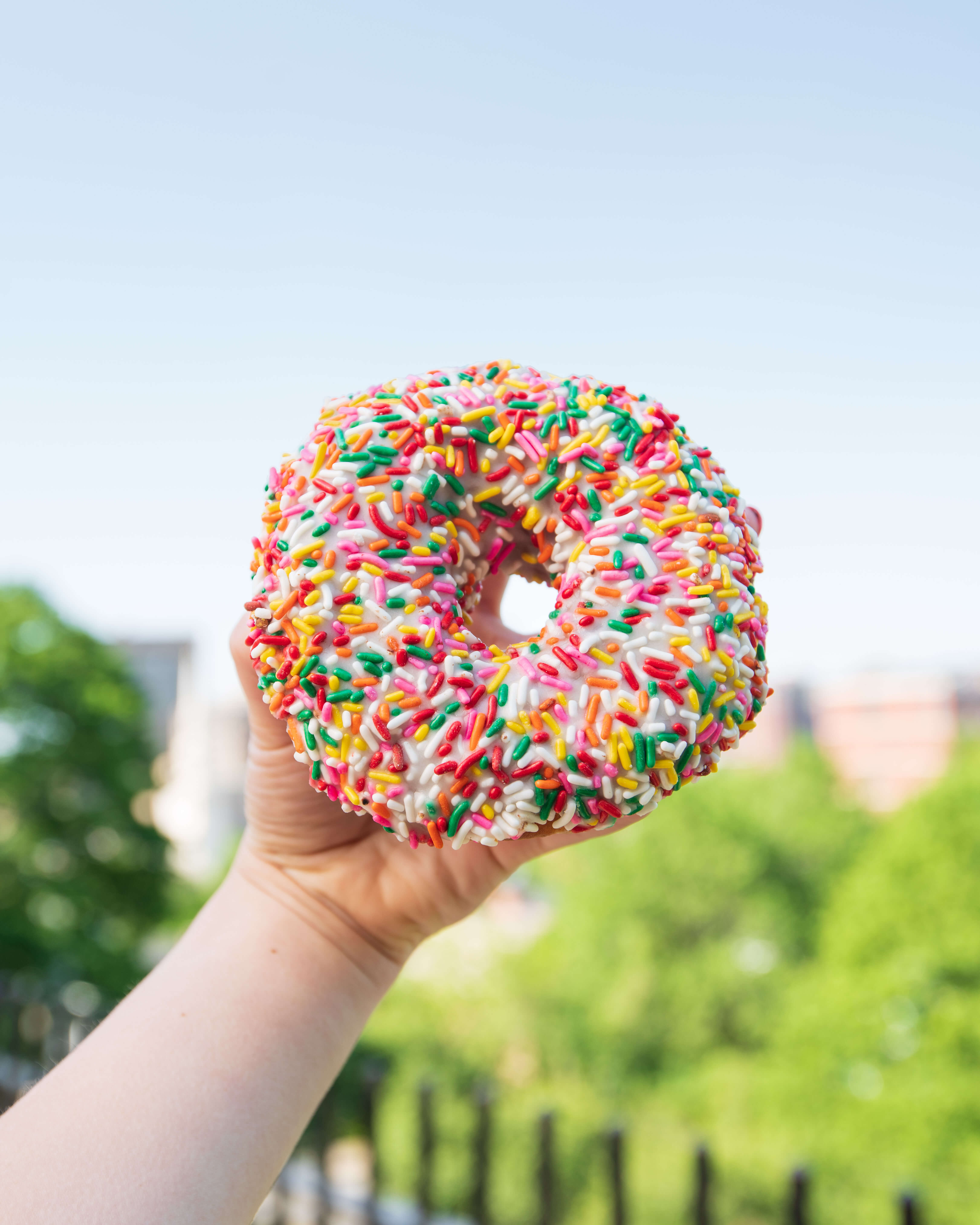 sprinkled donut from PVDonuts