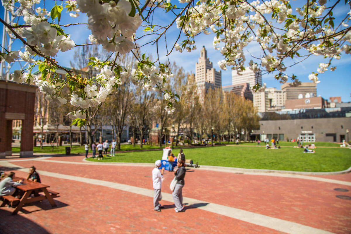 gaebe commons in the spring