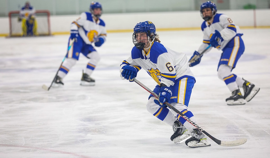 women's ice hockey