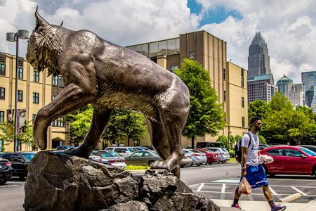 Statue of wildcat at Charlotte Campus