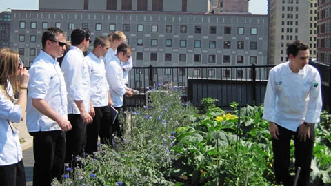JWU chefs touring a restaurant rooftop garden
