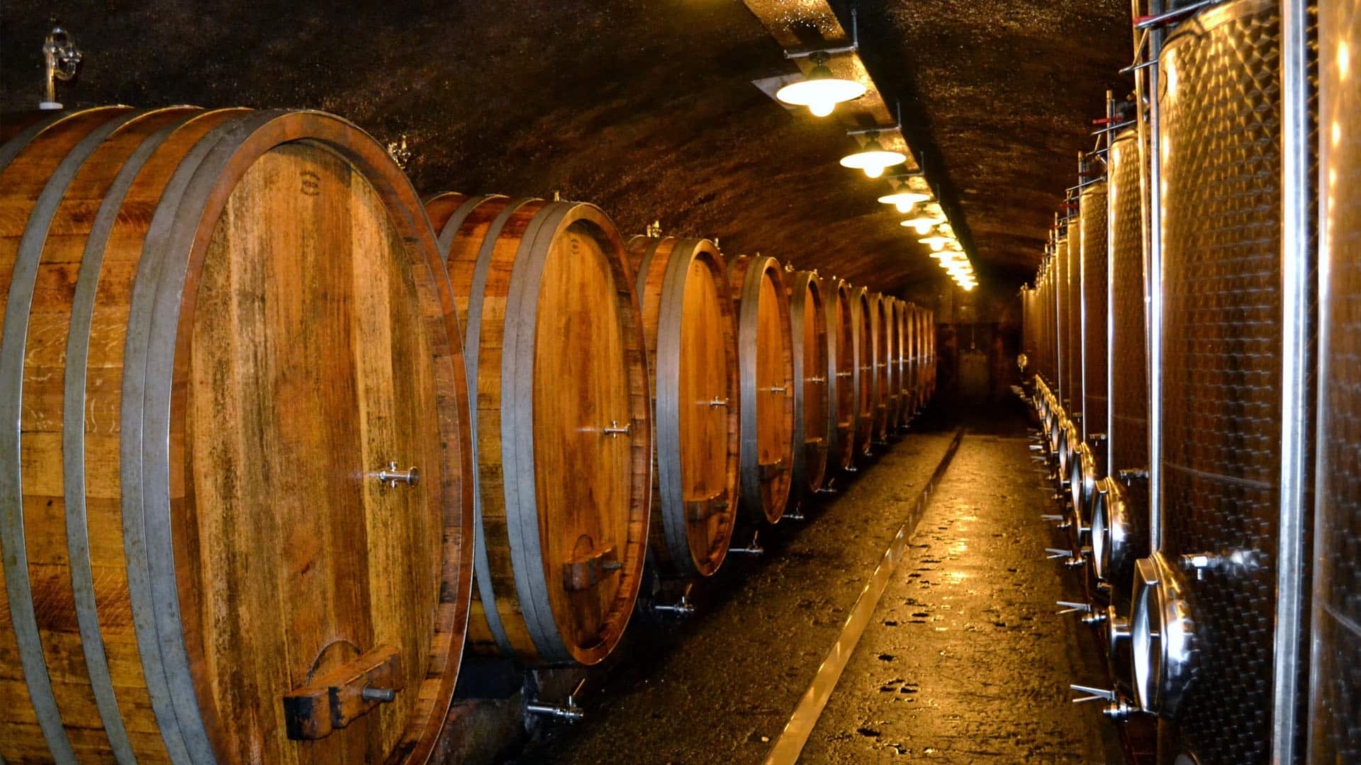 Barrels of wine seen by students during JWU's 500 Corks study abroad program.