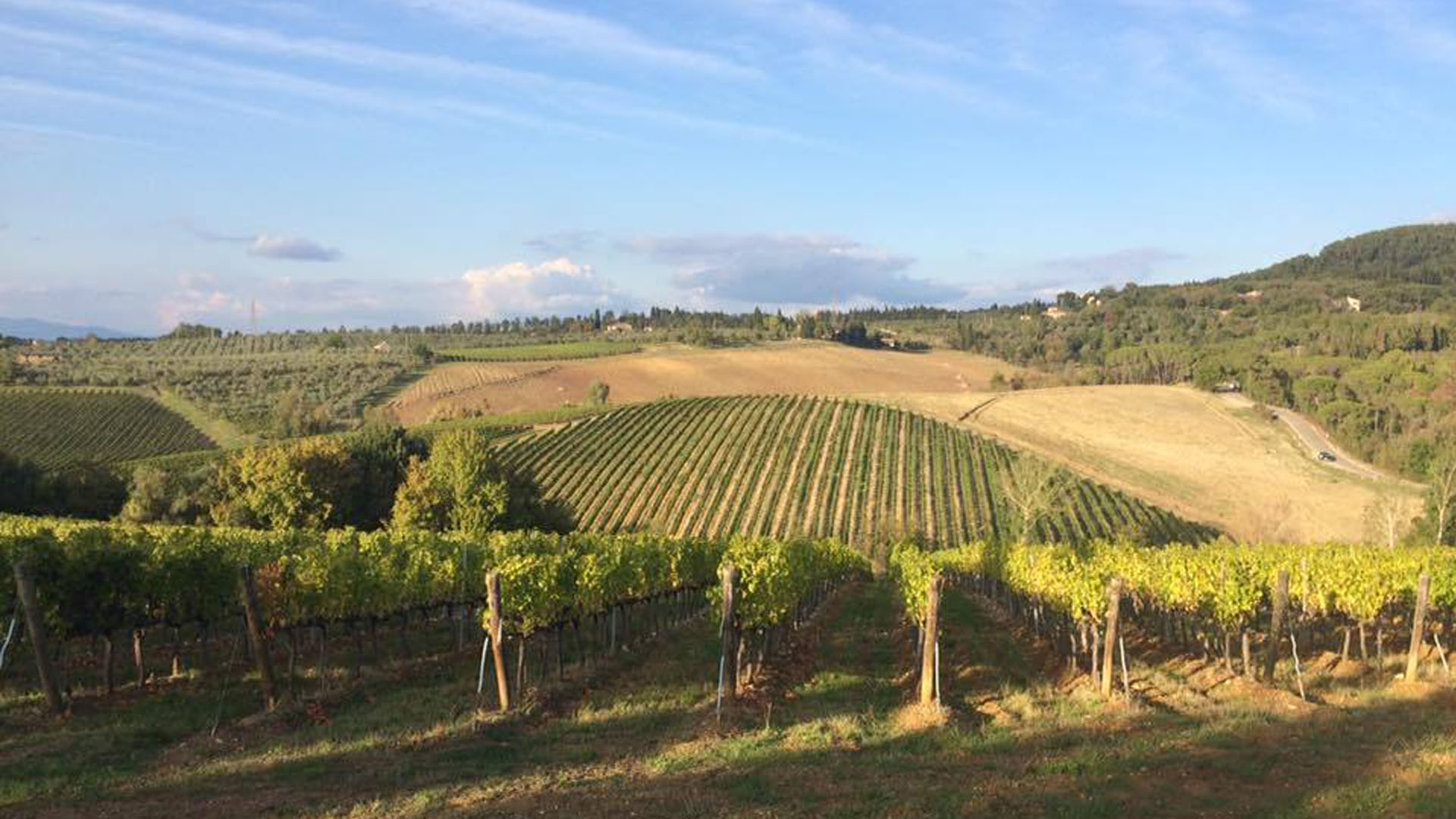 A hillside in Italy provides the perfect backdrop to one of the many beverage experiences during Samantha Pruett '17's 8-week trip.