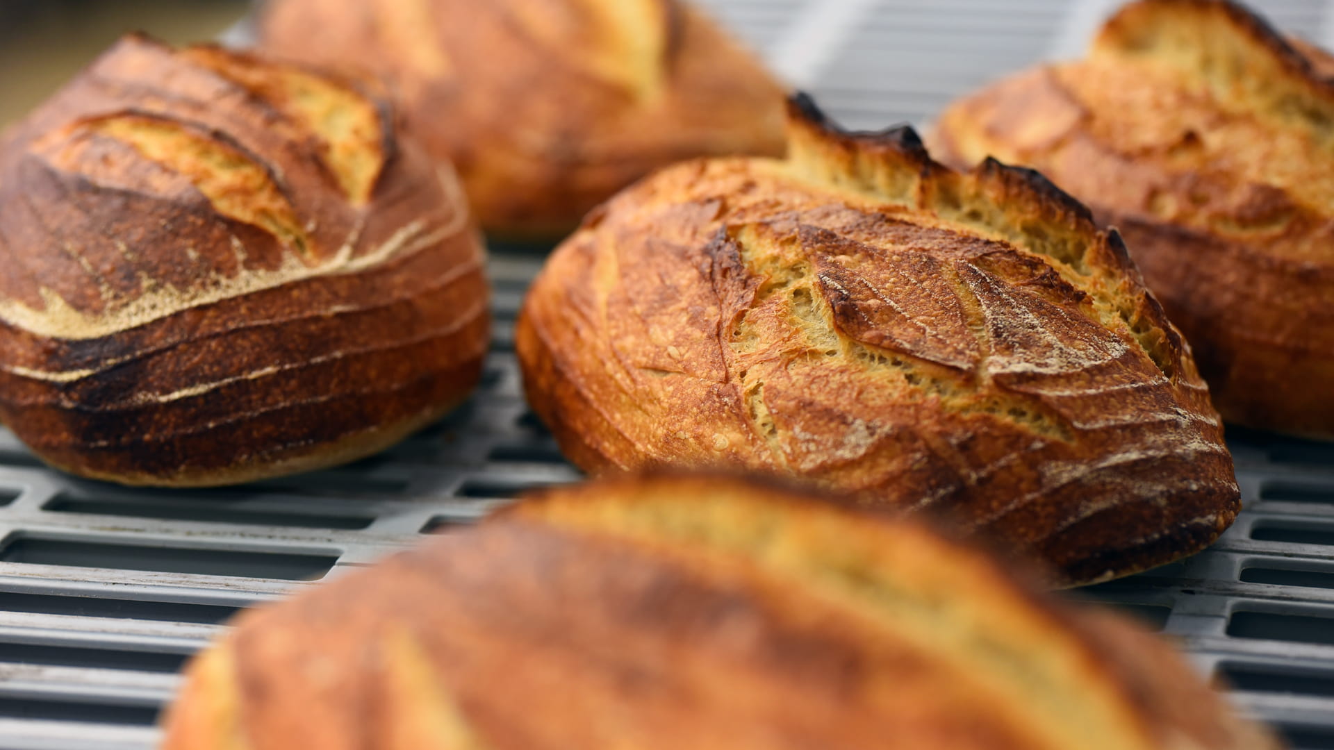 Finished loaves at the 2018 Bread Symposium at JWU Charlotte.