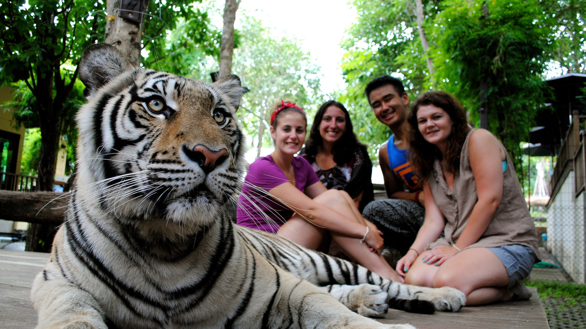 JWU Study Abroad Thailand