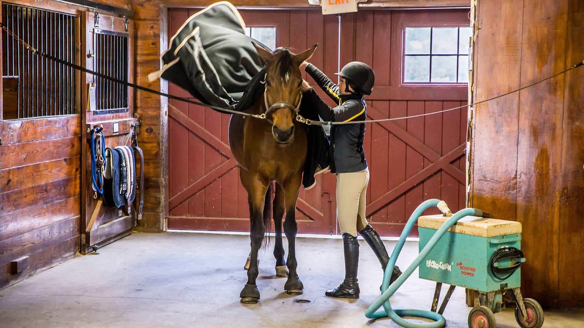 Taking care of the horse.