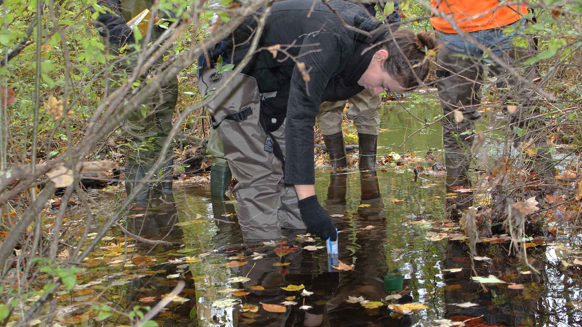 JWU student testing water in stream
