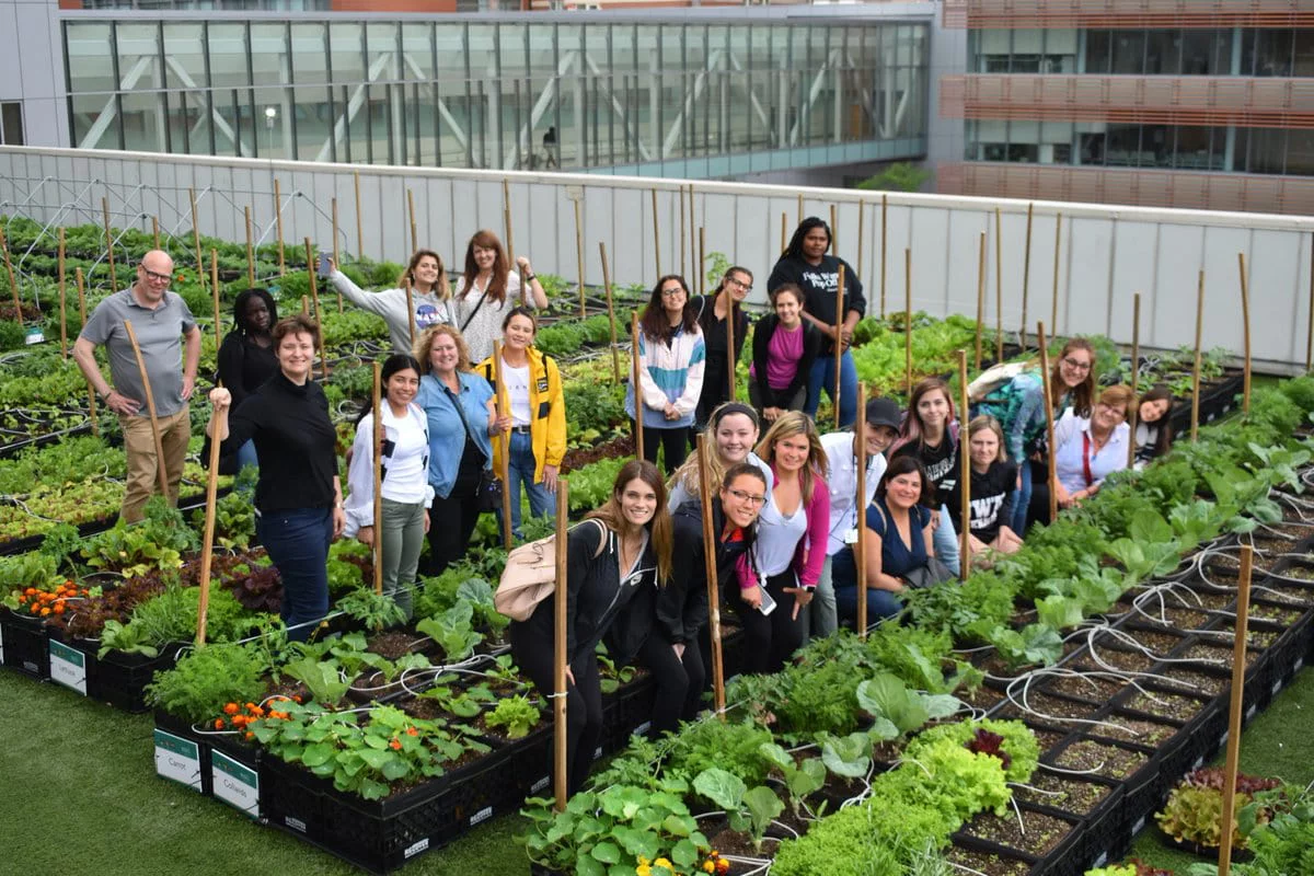 The 100,000 Strong group tours a Boston rooftop farm