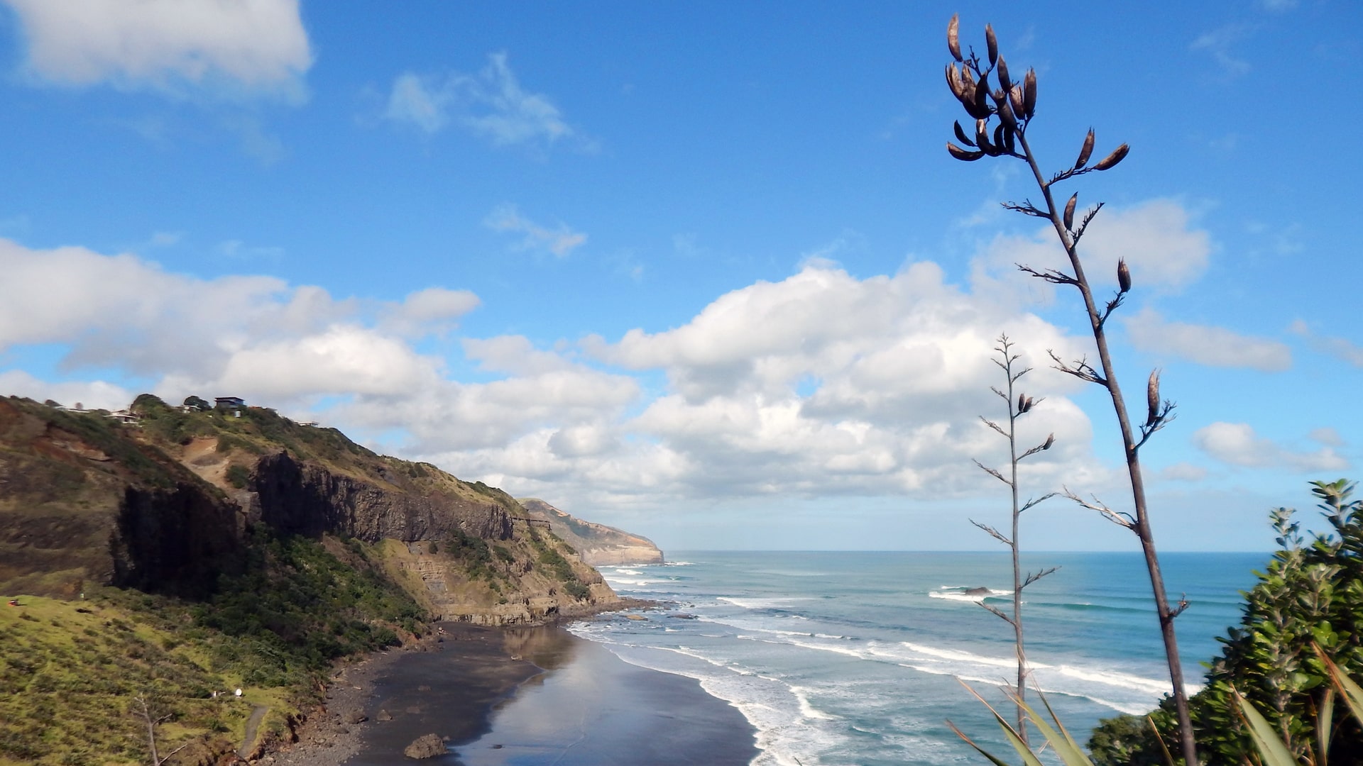 The New Zealand coastline