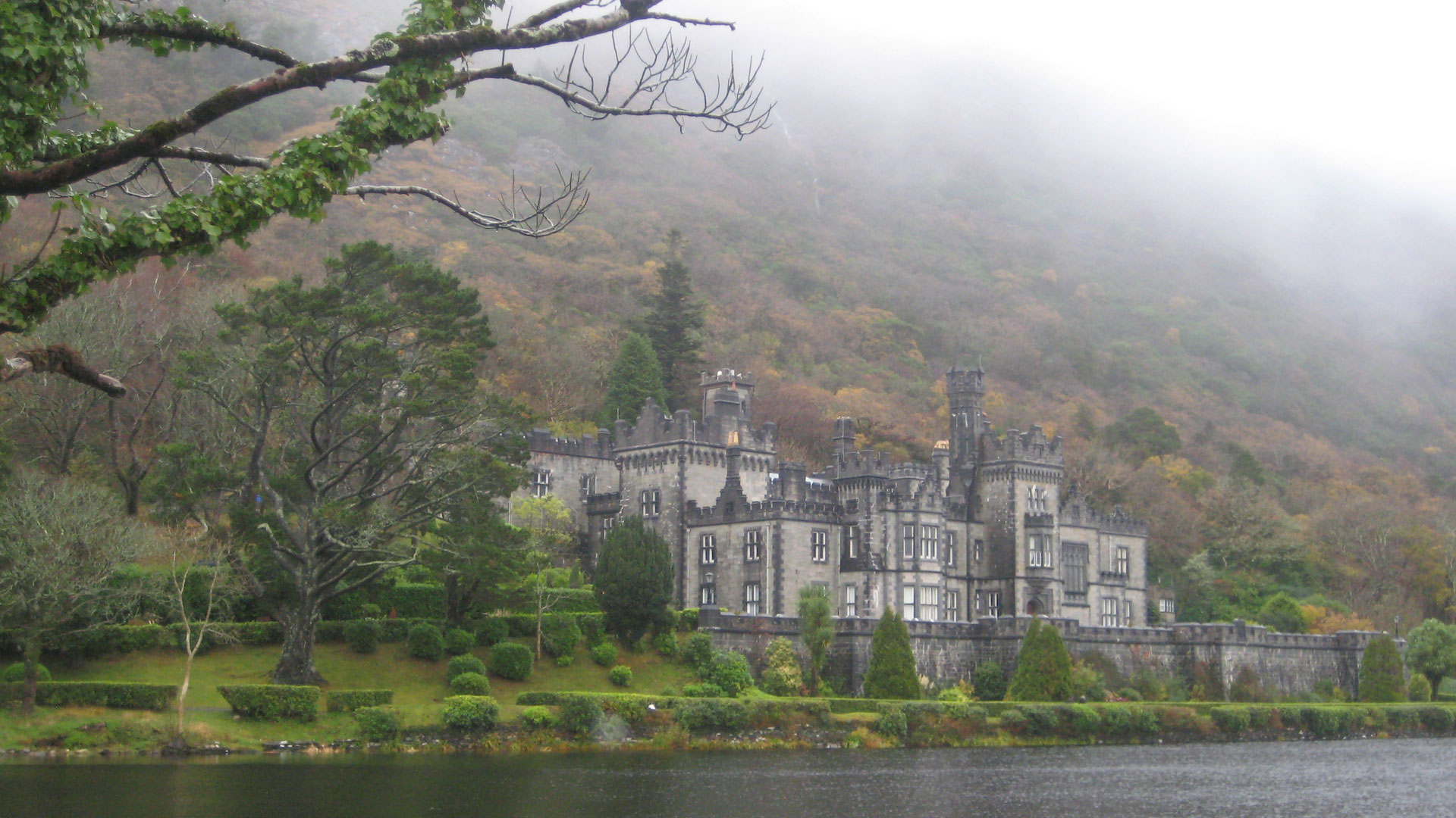 Foggy castle scene in Ireland