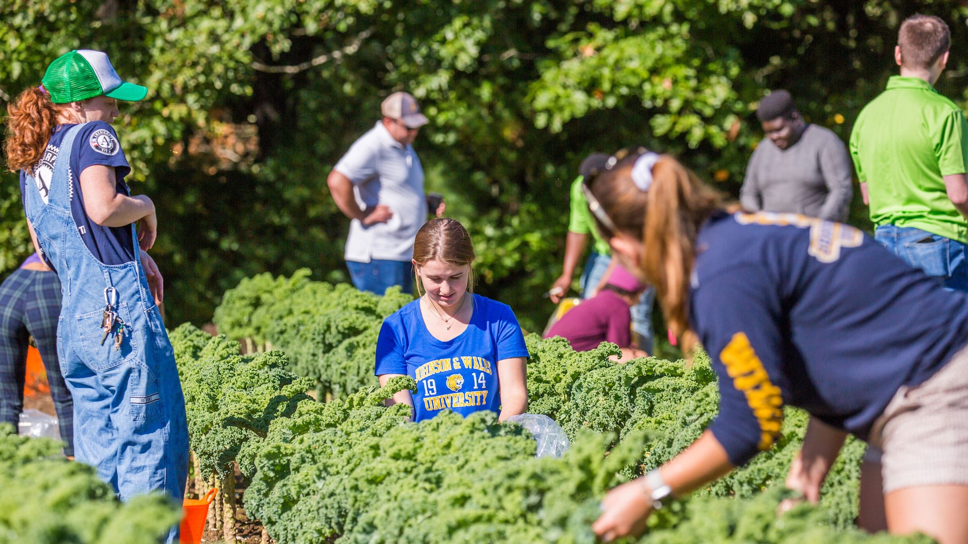 JWU Providence club SASS visits a local farm.