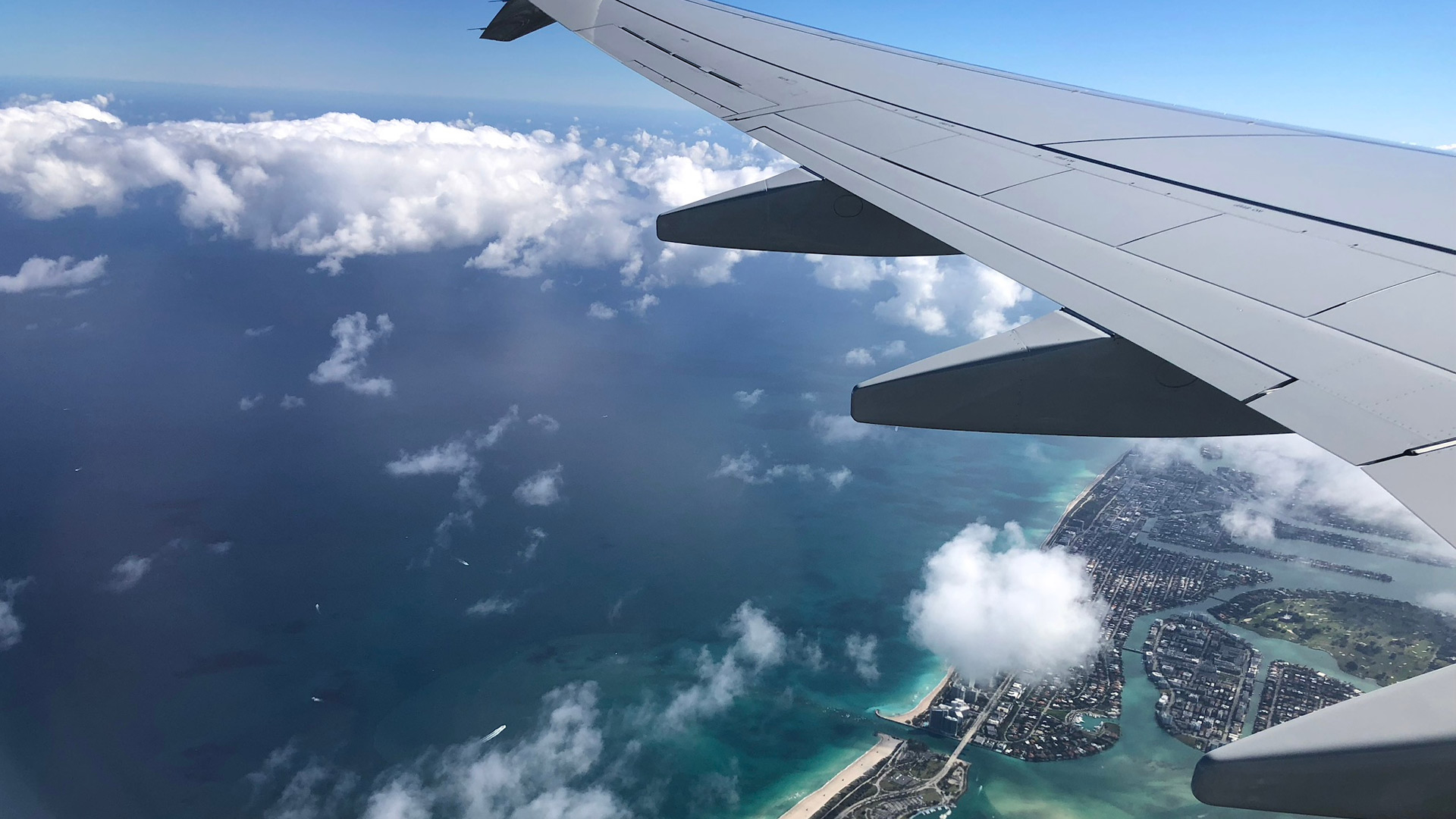 Wing of a plane