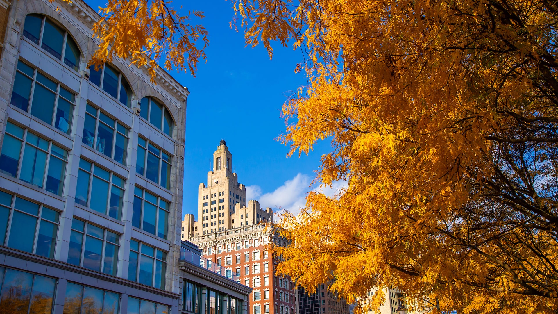 Fall on the Providence Campus