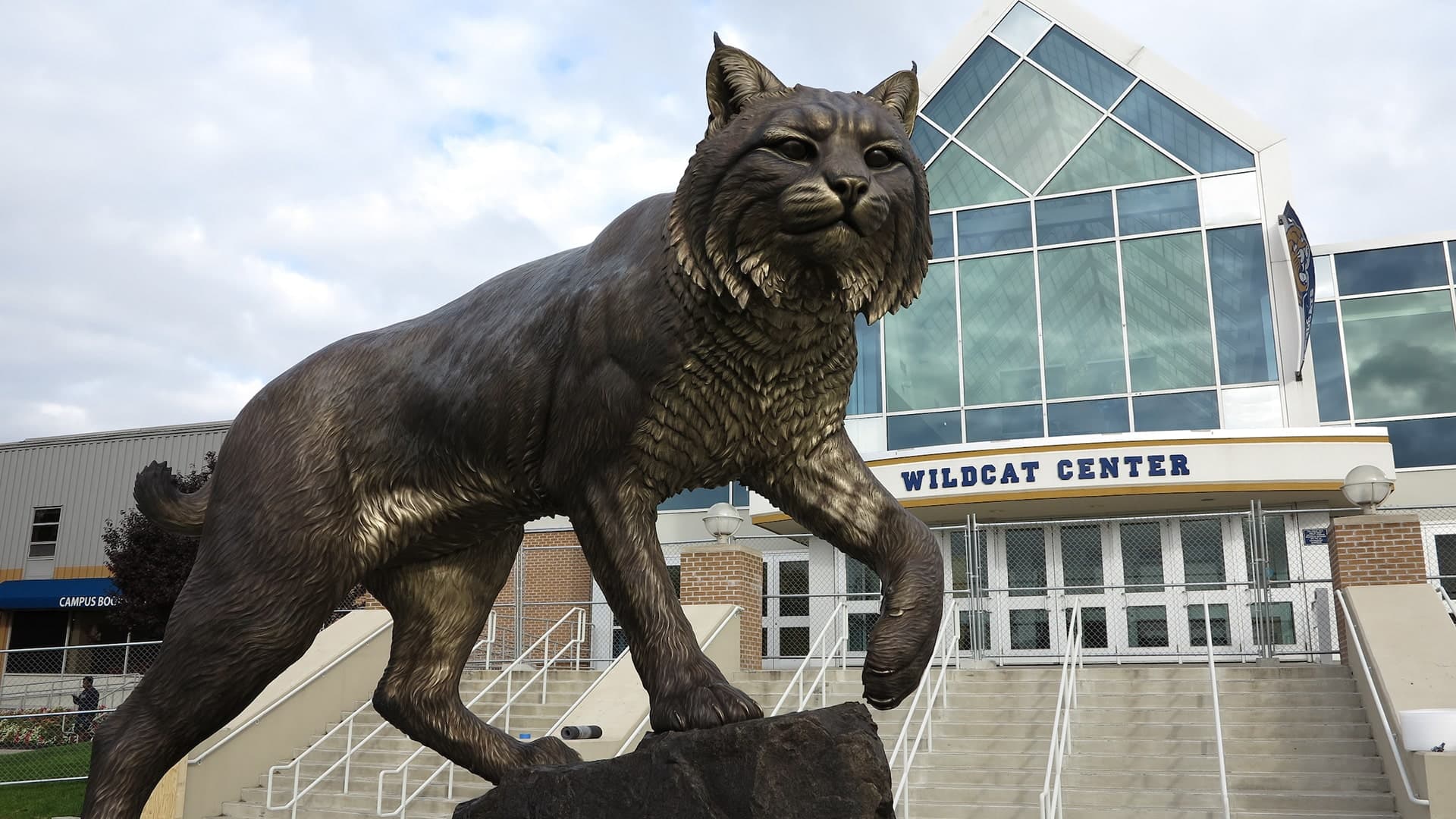 Wildcat statue infront of JWU's Wildcat Center