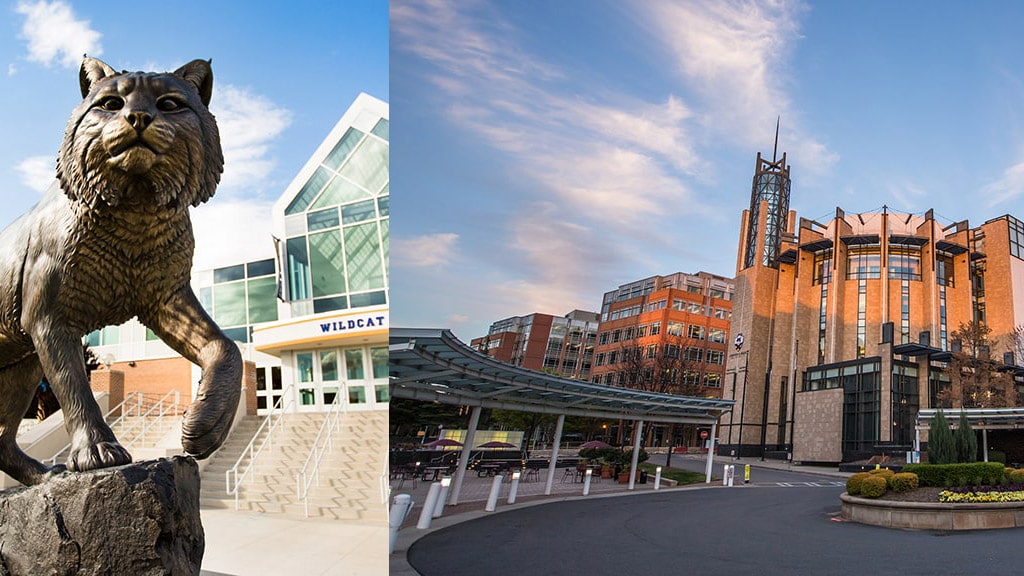 combined image showing a view of a Wildcat statue on the Providence campus as well as a building on the Charlotte campus