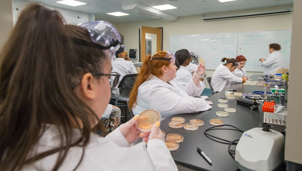 JWU Charlotte students learning techniques in a food science lab