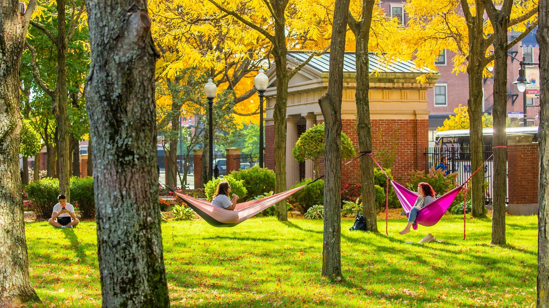 JWU students lounging on hammocks