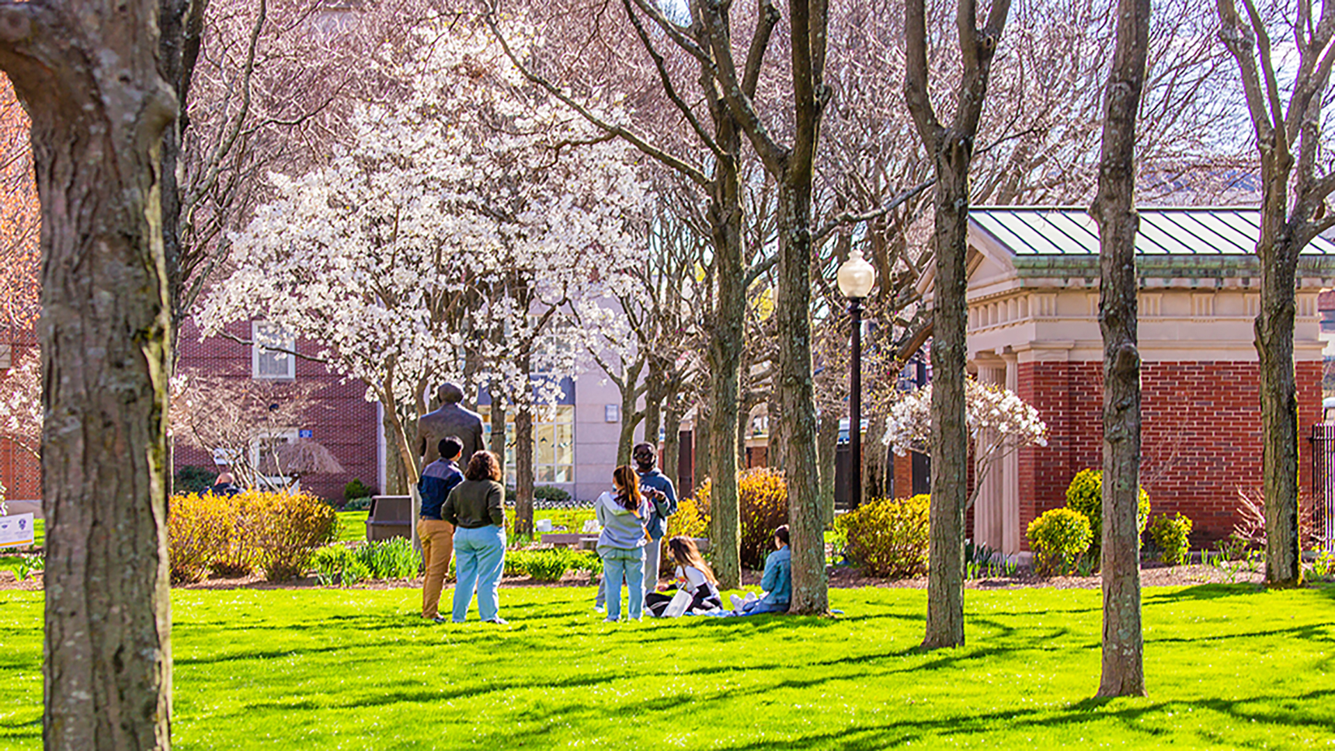 Gaebe Commons at Johnson & Wales in the spring