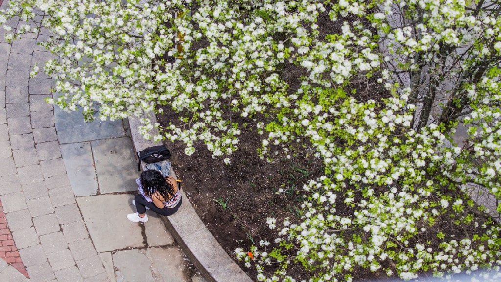 a girl sitting outside under a tree