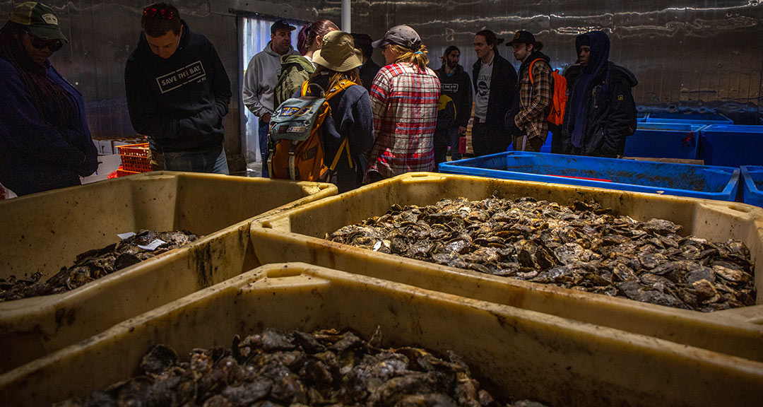 JWU's Sustainable Food Systems class tours the American Mussel Harvesters processing plant
