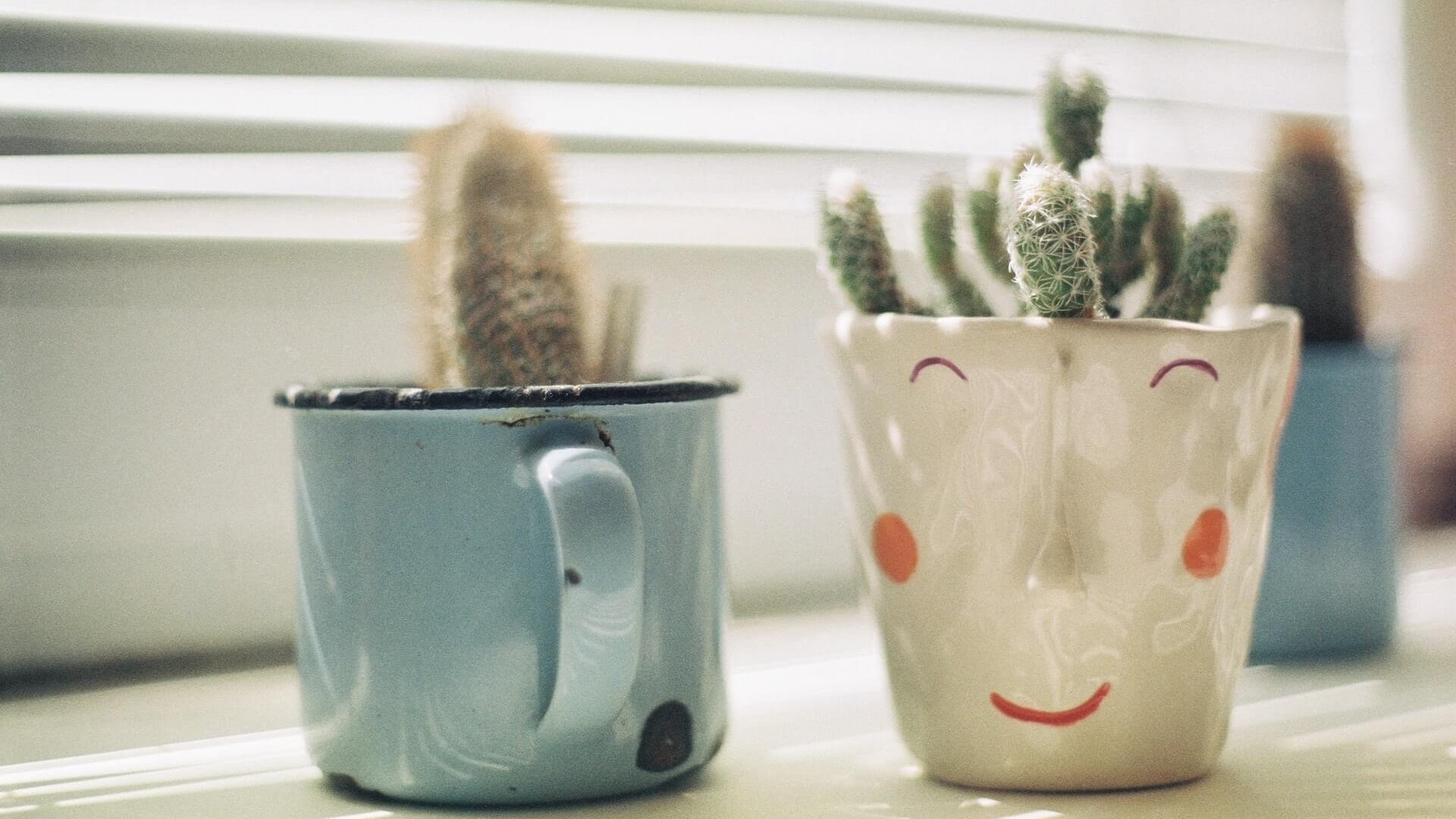 Whimsical cactus desk décor