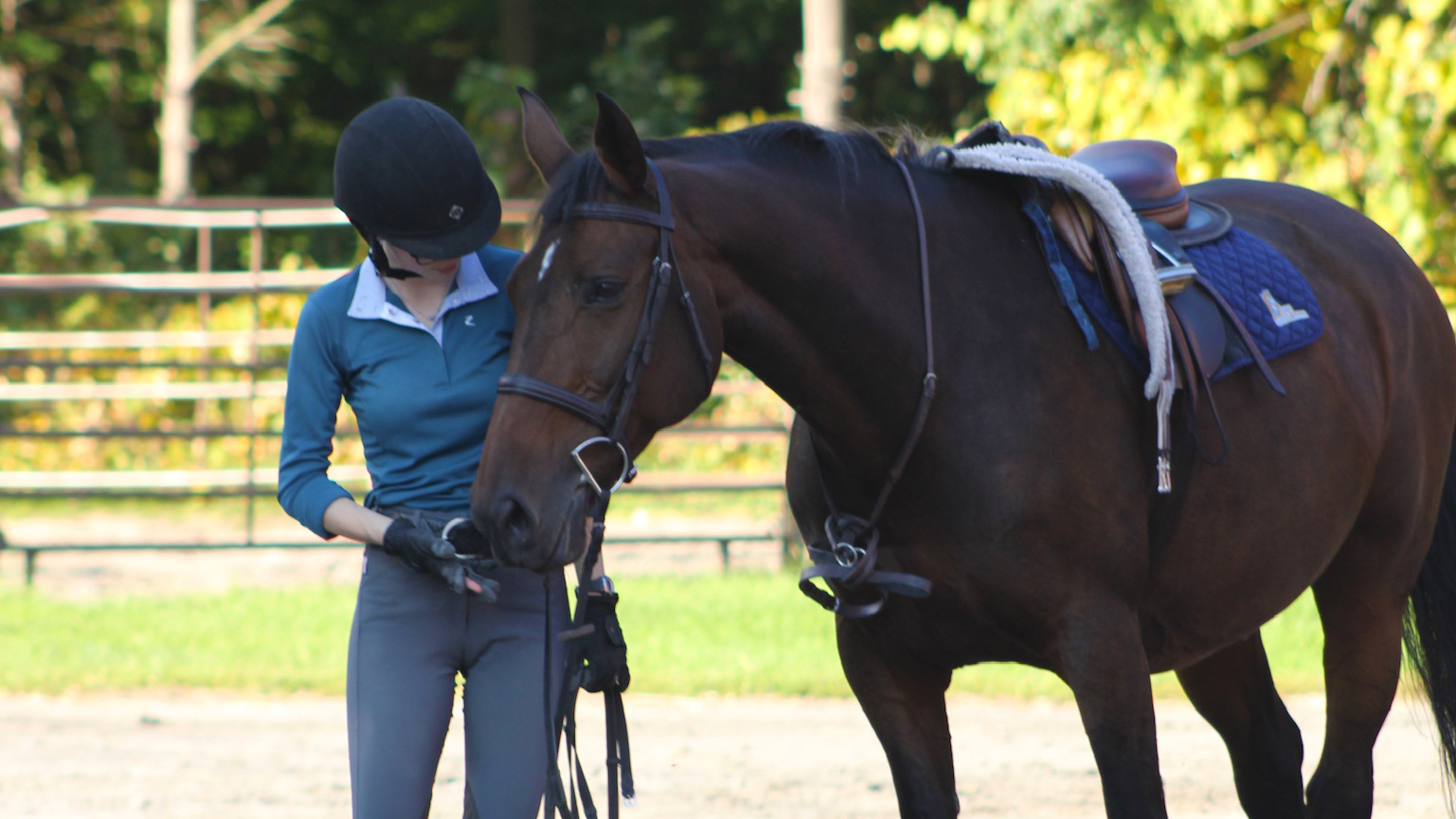 A girl standing next to a horse