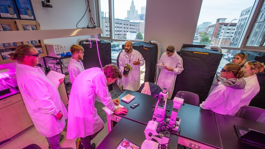 students learning at JWU's cannabis grow lab