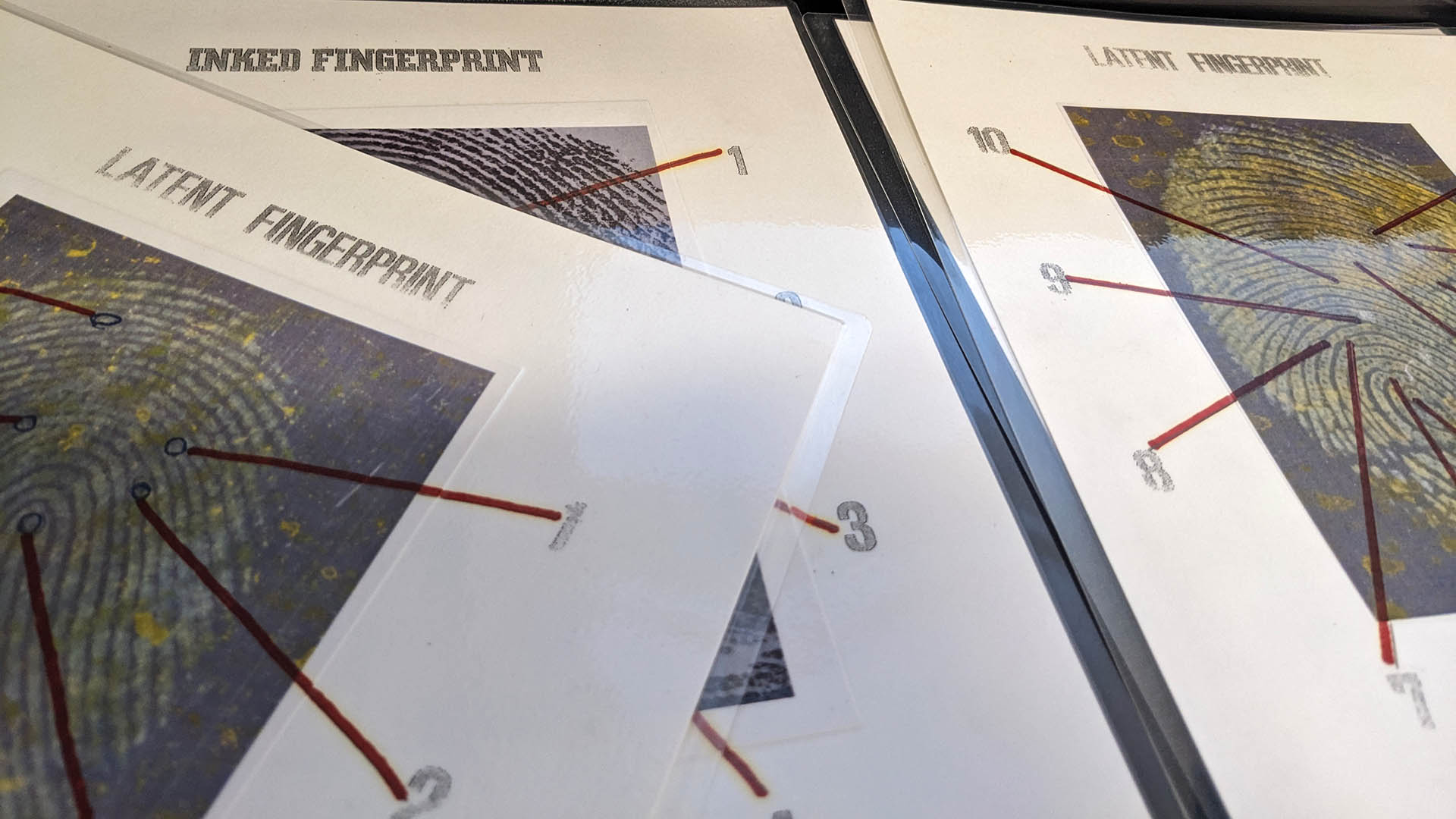 a closeup photo of different types of fingerprints used in forensics lessons at JWU