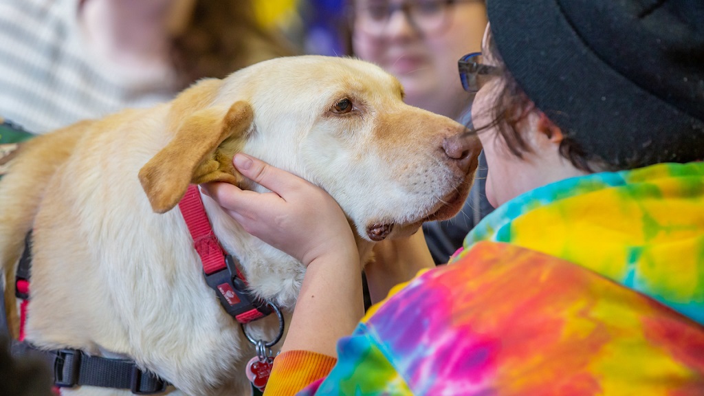 female student petting dog