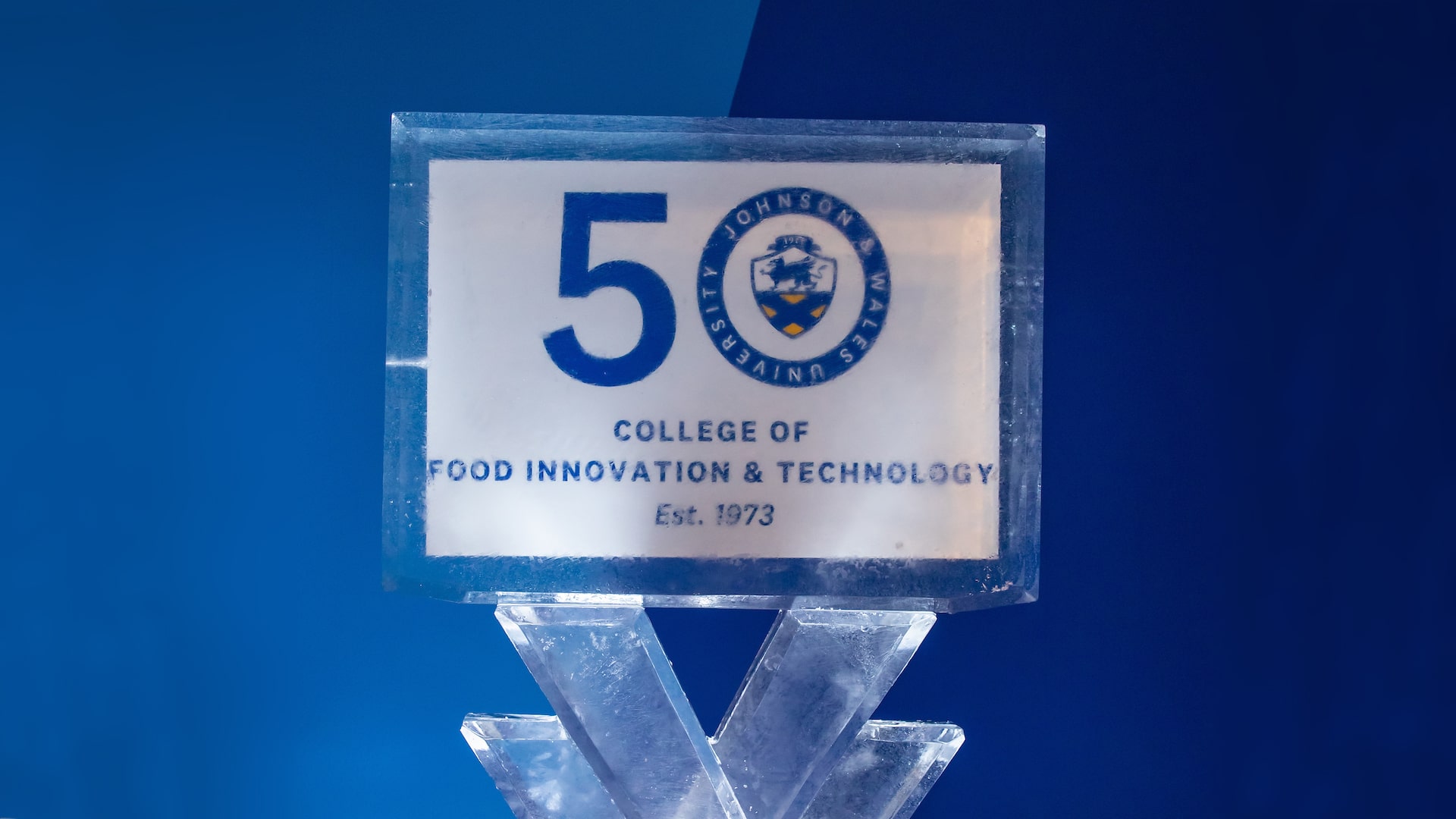 CFIT 50 logo under ice at the gala reception.