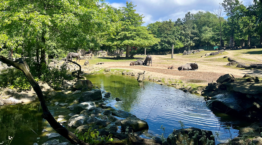 View of Munster zoo