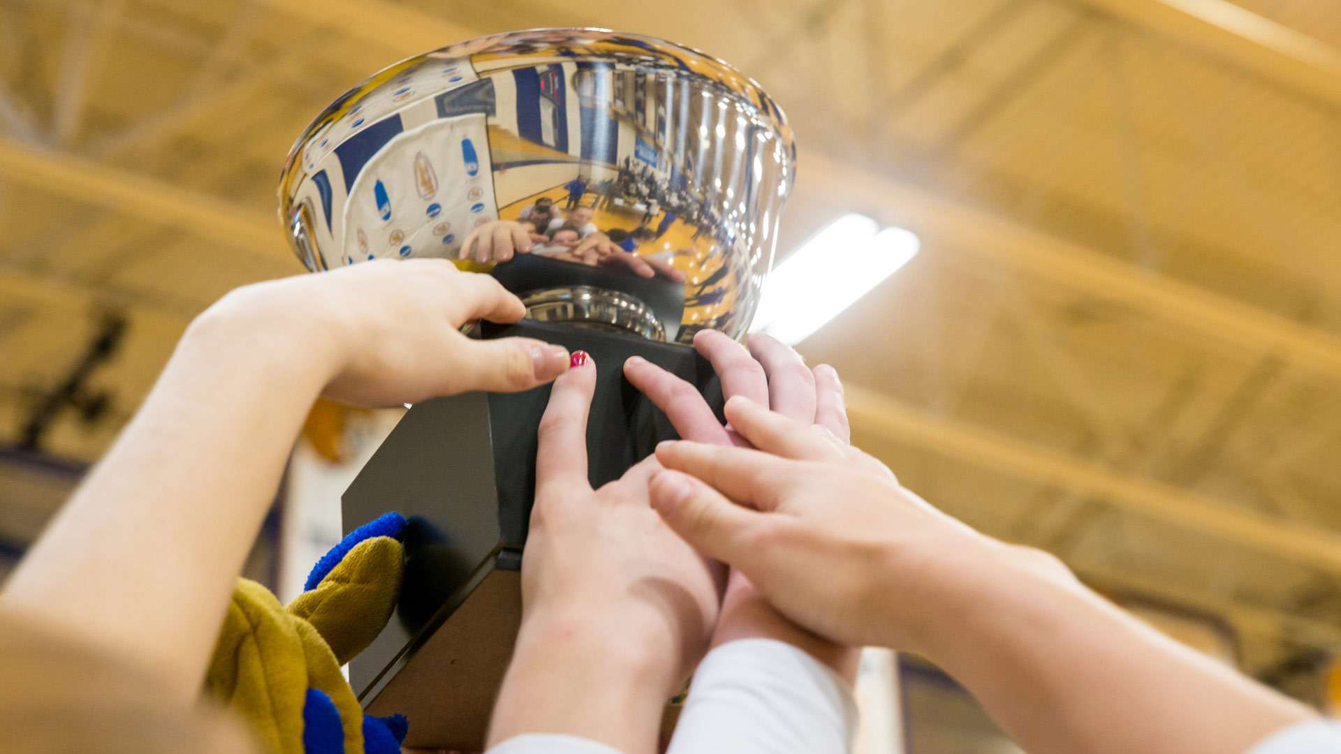 a photo of hands holding up a trophy