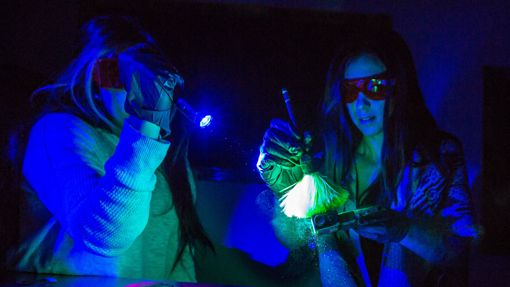 Criminal Justice Students dusting for prints