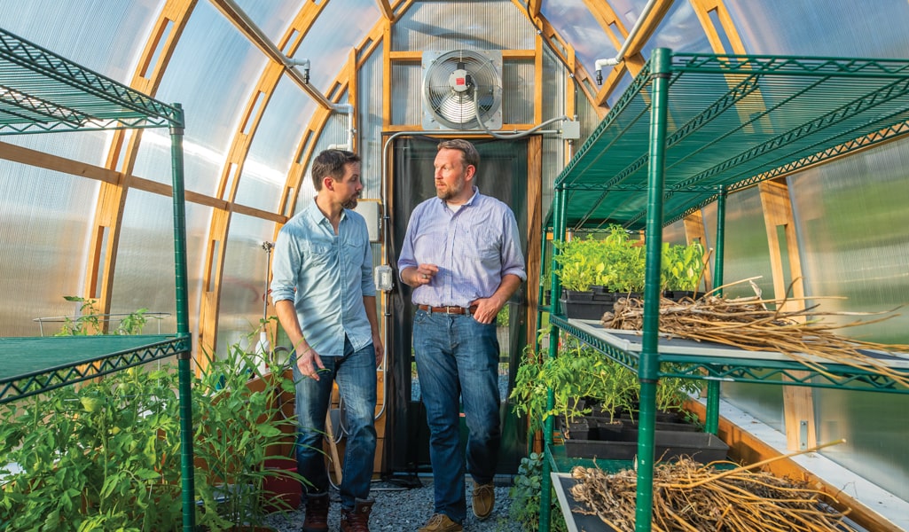 Dean Evans and Associate Professor Branden Lewis at Gilded Tomato Farm.