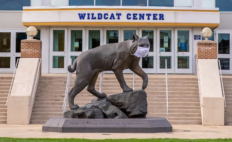 wildcat-statue-covid-mask