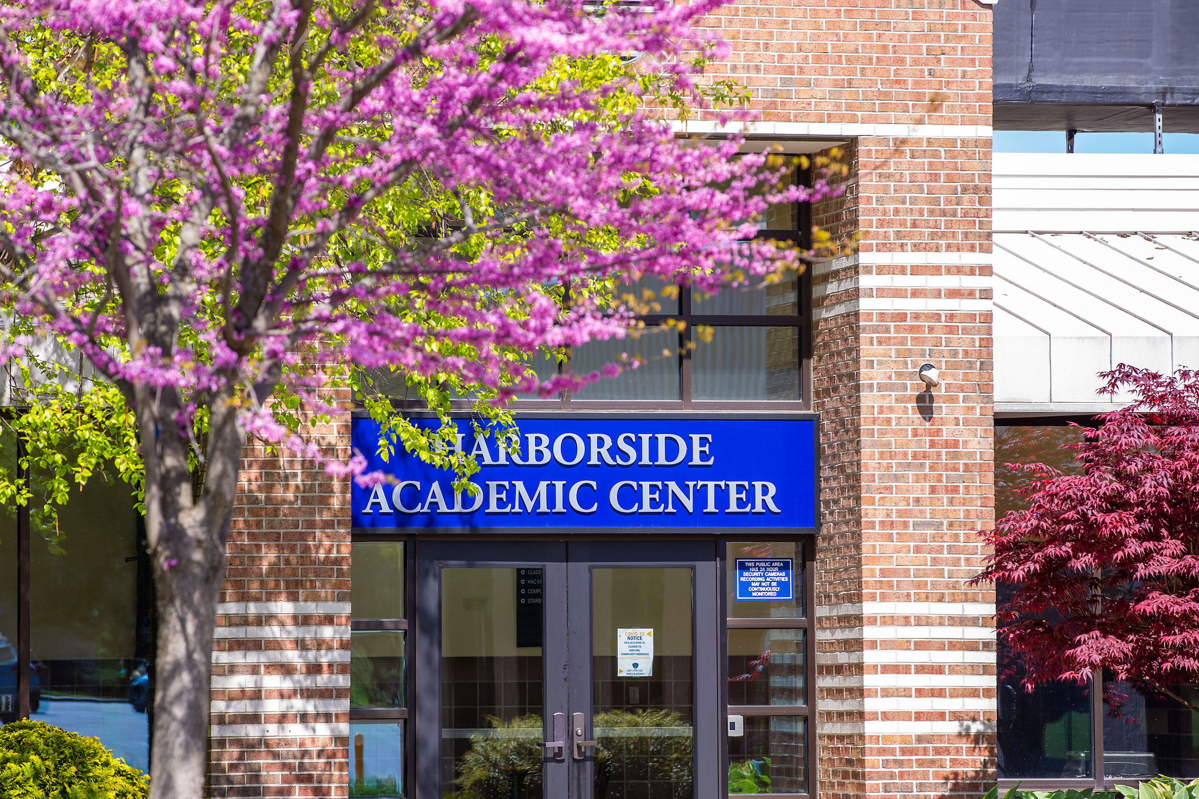 Pink flowering trees frame the entrance of a brick building with a blue sign reading “Harborside Academic Center” above the glass doors.