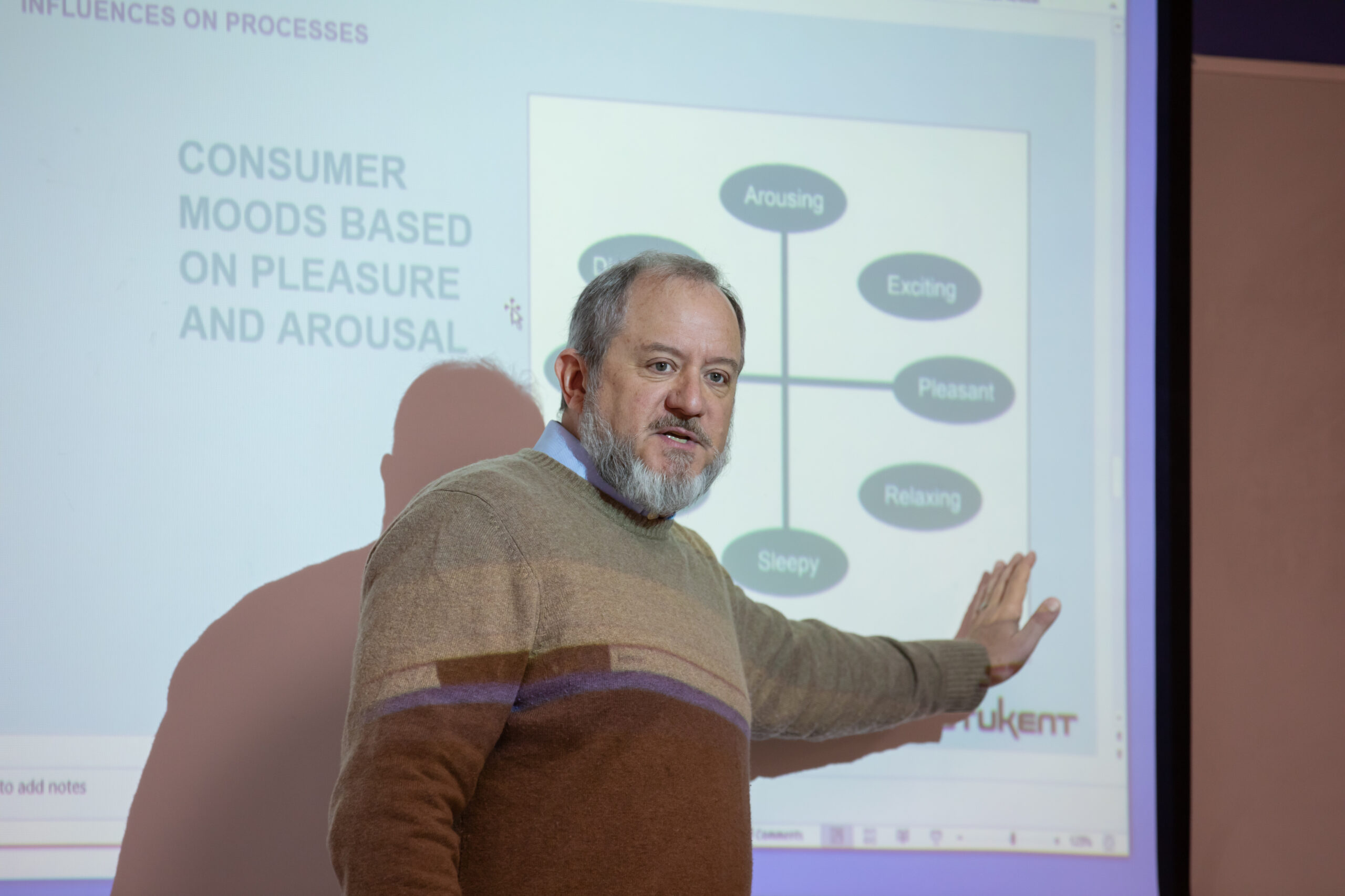 A person gestures toward a presentation slide displaying a diagram that categorizes consumer moods based on pleasure and arousal.