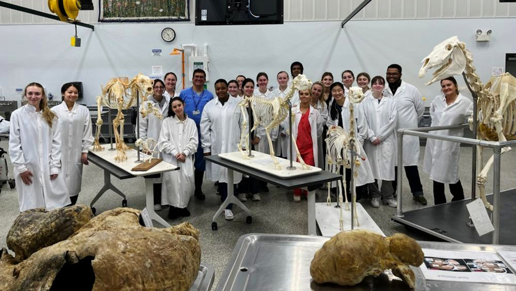 JWU students visiting Tufts University’s Cummings School of Veterinary Medicine.