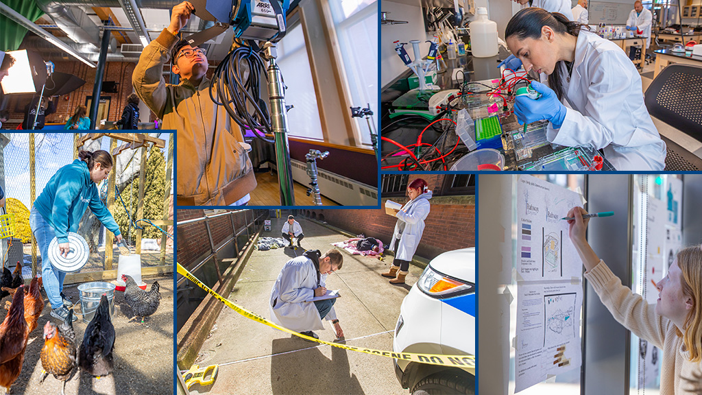 Four Innovative Projects from the College of Arts & Sciences