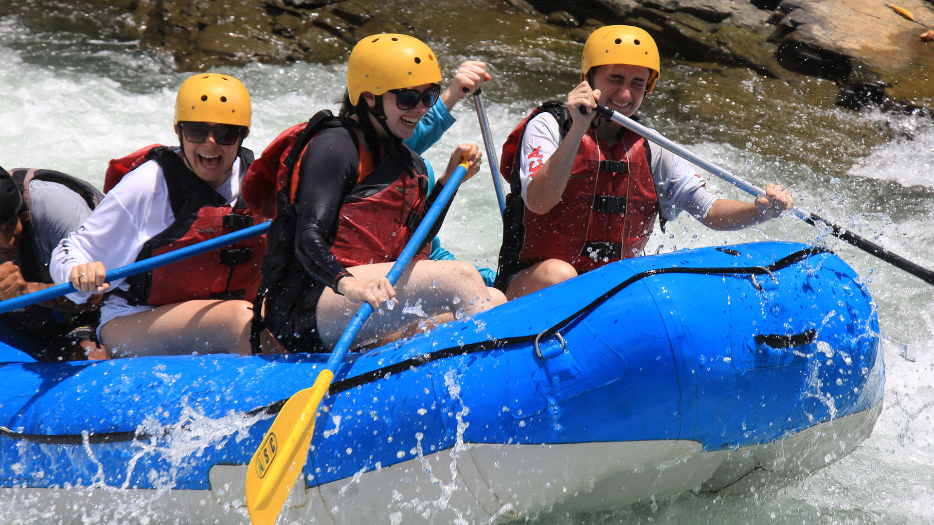 Experiential Education in Action This Spring