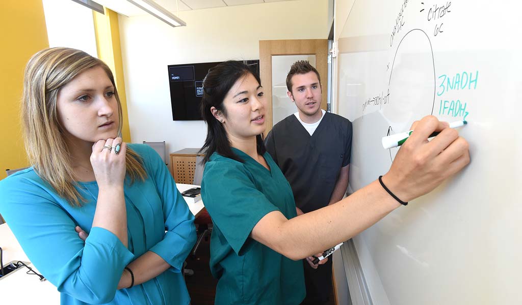 students and faculty collaborating on a whiteboard on in the new health sciences facility