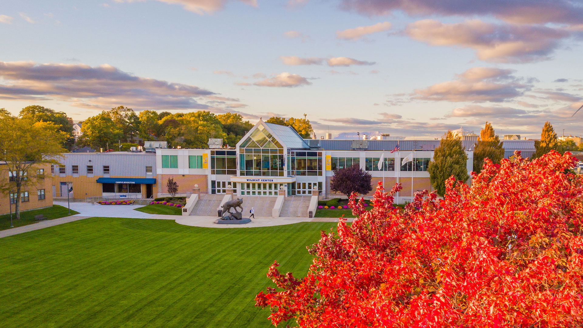 Birds-eye view of the Wildcat Center with fall leaves.