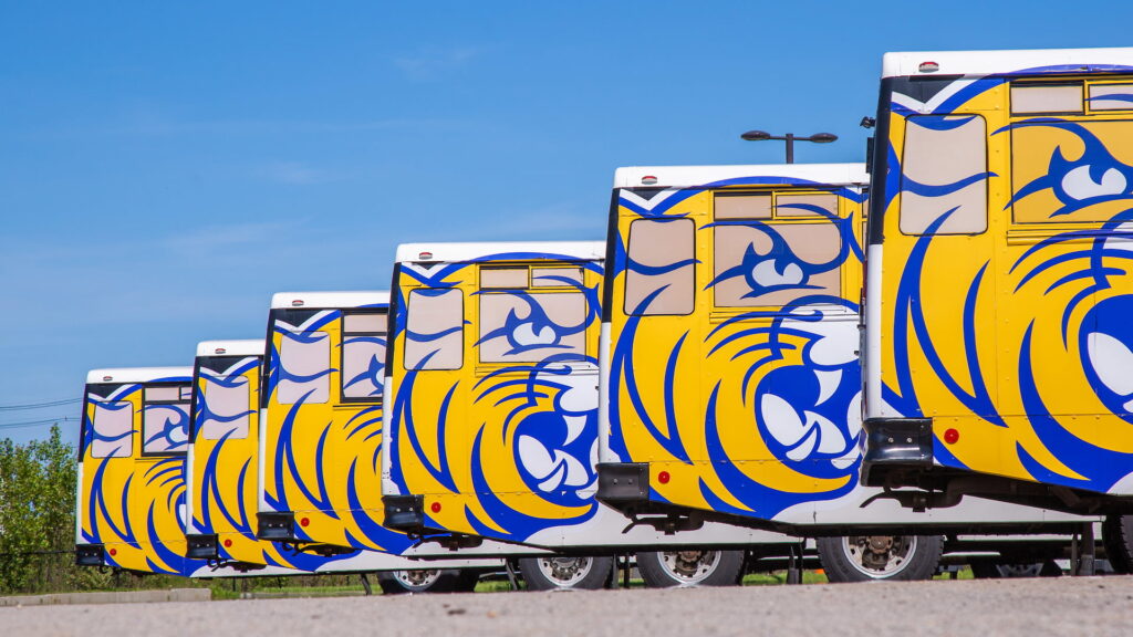 JWU buses in a row with the Wildcat logo on the side. 