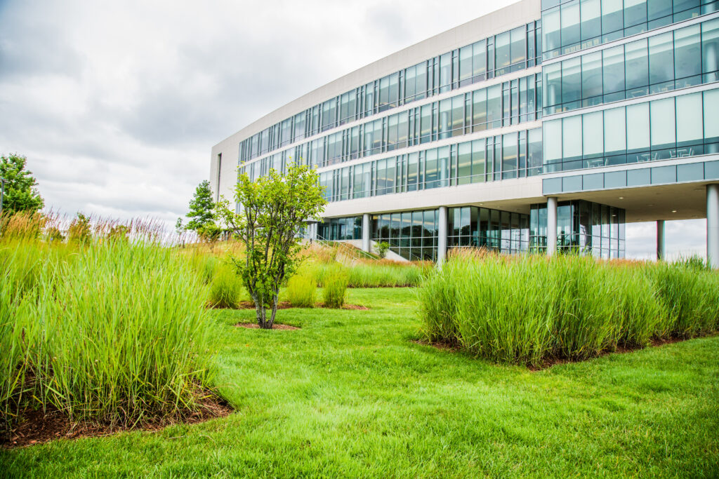 A modern glass building stands behind a lush green lawn with tall grasses and young trees under a cloudy sky.